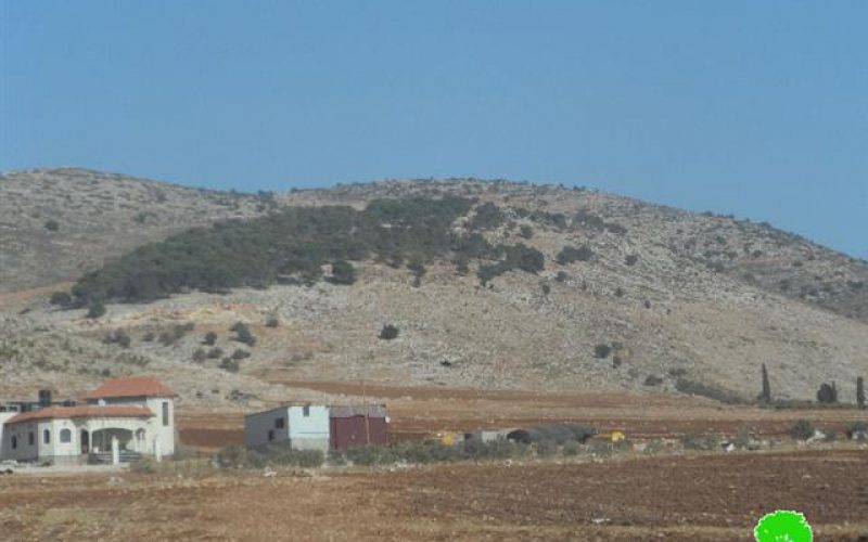 An eviction order on tens of agricultural dunums in Tubas