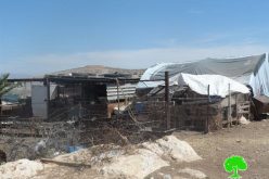إخطارات بوقف البناء لمنشآت سكنية وزراعية في منطقة واد المالح