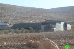 إخطارات بوقف البناء لبركسات زراعية في قرية بردلة / محافظة طوباس