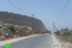 The town of al-Walaja is trapped by the segregation wall and is under the spot of  future colonial plans