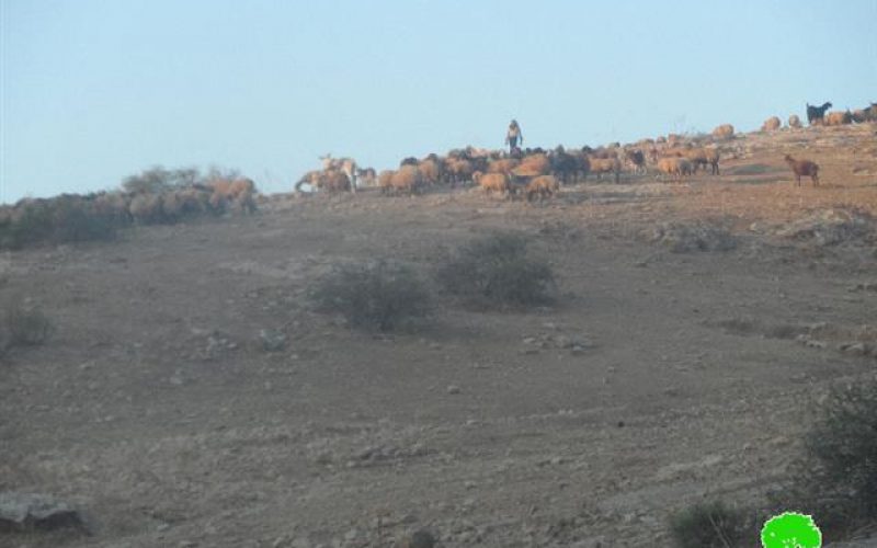 The Israeli occupation stops a reclamation on pools and water cisterns