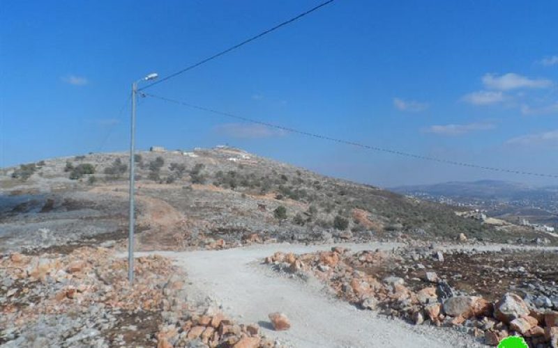 Uprooting and looting aging olive trees in Burin