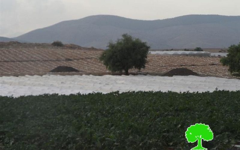 The Israeli occupation confiscates agricultural equipments from Sahel al- Bikaia