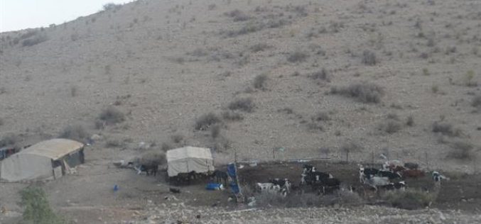 The Israeli occupation demolishes a number of agricultural and residential structures in Qalqiliya