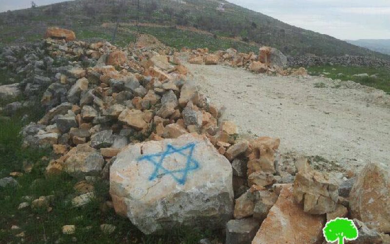 Colonists spray paint “hatred inciting” slogans on walls in Burin village