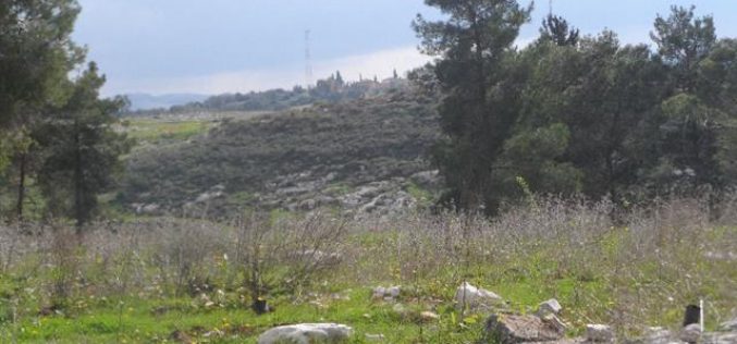 الاحتلال  الإسرائيلي يخطر بوقف البناء لمنتزه في بلدة قفين