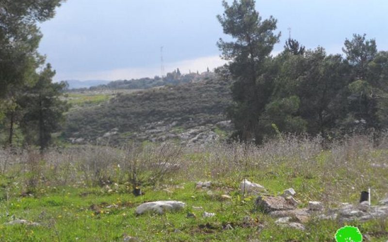 The Israeli occupation notifies a park with stop-work in Tulkarm