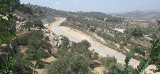 الذريعة الامنية تهدد أراضي منطقة وادي كريمزان في مدينة بيت جالا
