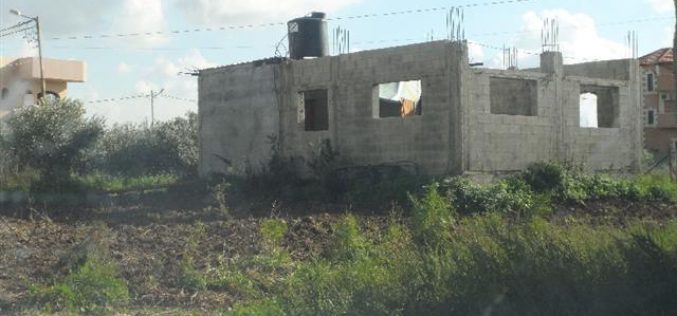 A stop-work order on a workshop and a residence in Tulkarm