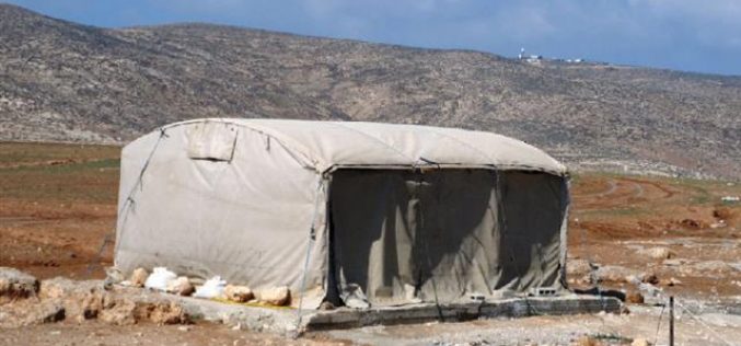 إخطار بهدم خيمة للسكن في خربة المركز بمسافر يطا