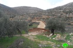 The Israeli occupation demolishes a segment of a agricultural road linking Jilijliya to the eastern farm