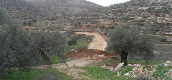 The Israeli occupation demolishes a segment of a agricultural road linking Jilijliya to the eastern farm