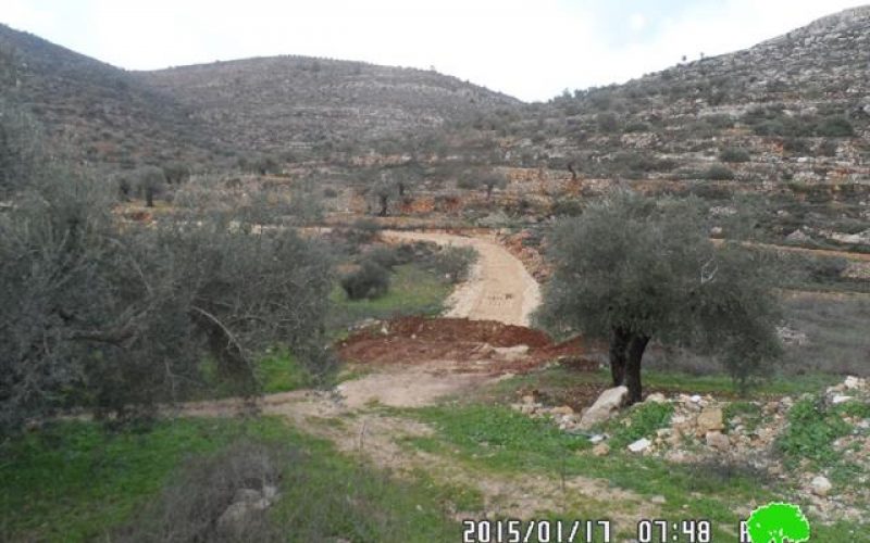 The Israeli occupation demolishes a segment of a agricultural road linking Jilijliya to the eastern farm