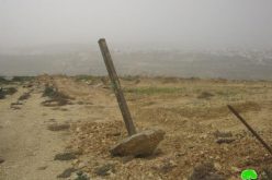 تجريف أرض زراعية بمساحة 3 دونمات وتدمير السياج المحيط بها في بلدة الخضر / محافظة بيت لحم