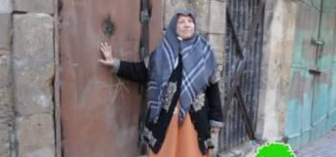 الاحتلال يطرد مواطنة من منزلها ويغلقه بلحام الأوكسجين في شارع الشهداء