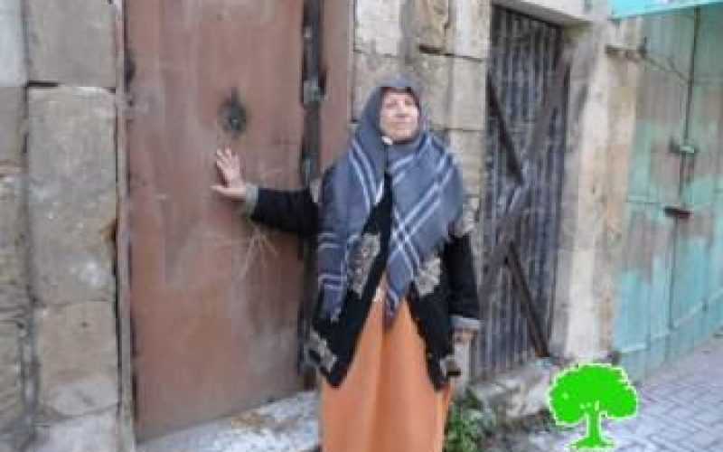 Israeli forces weld shut the doors of an elderly Palestinian woman’s house on Shuhada Street