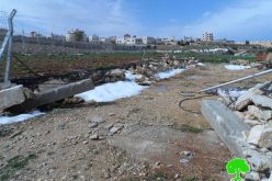 الاحتلال يهدم حاوية حديدية وكوخاً من القصب في حرم الرامة شرق الخليل