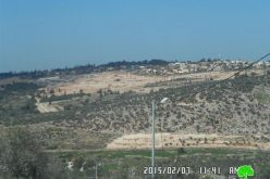 Expansion works on Salit colony in Tulkarm