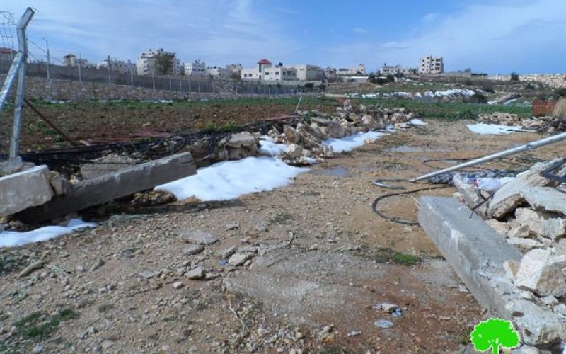 The Israeli occupation demolishes a shack and a container in Hebron