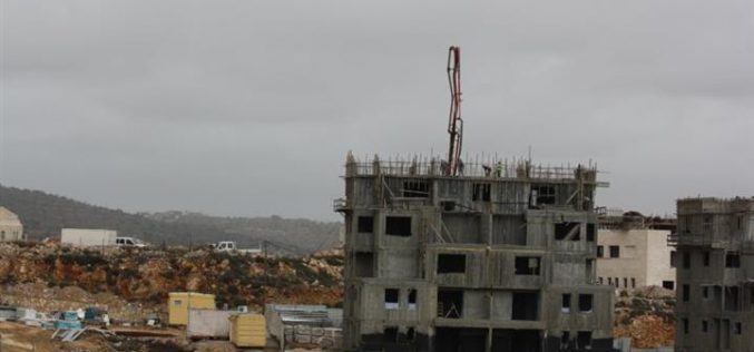 هل تفكر اسرائيل جديا في ابرام اتفاق سلام مع الفلسطينيين؟ <br> عطاءات اسرائيلية جديدة لبناء مئات الوحدات الاستيطانية في الضفة الغربية المحتلة