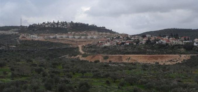 مستعمرة ” كدوميم” تشهد توسعاً كبيراً على حساب أراضي قرية كفر قدوم / محافظة قلقيلية