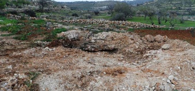 The Israeli occupation demolishes a water cistern and uproots trees in Hebron