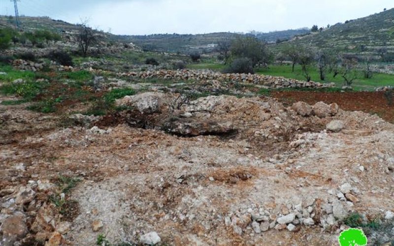 The Israeli occupation demolishes a water cistern and uproots trees in Hebron