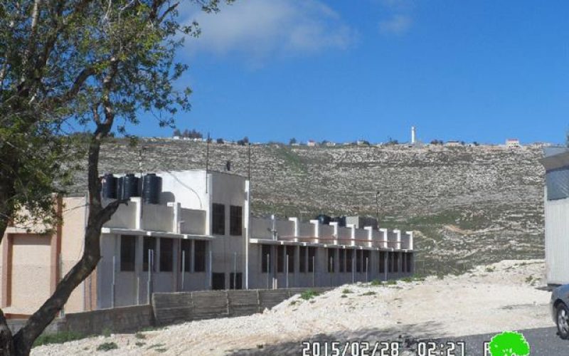 Colonists spray-print racist graffiti on Nablus  school