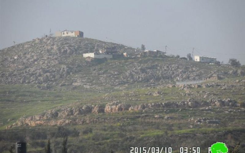 Givat Ronen colonists sabotage 35 olive trees in Nablus