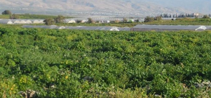 الاحتلال الاسرائيلي يصادر 504 متر من الأنابيب الناقلة للمياه في قرية عين البيضا