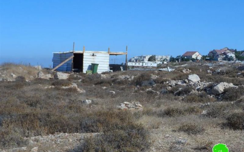 Colonists’ attack on an agricultural land in the Hebron village of Halhul