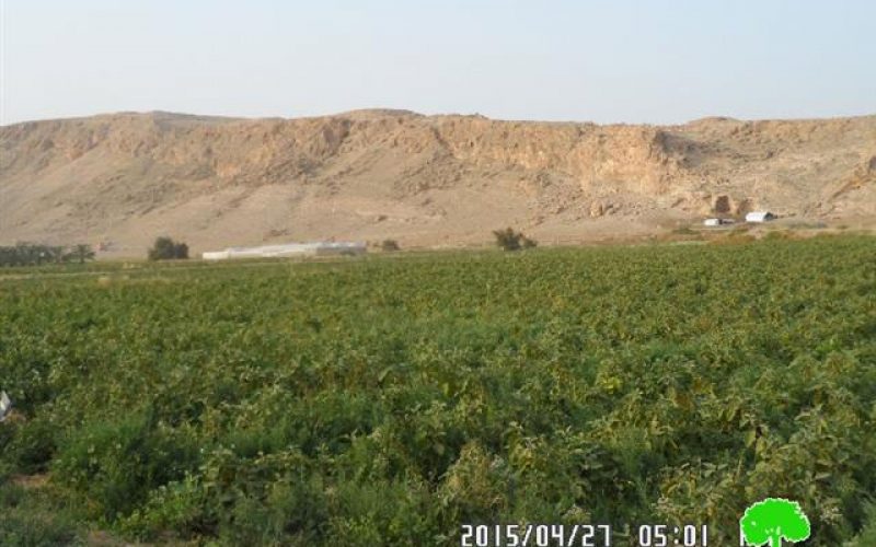 الاحتلال الإسرائيلي يهدم أربعة  مساكن في قرية الجفتلك / محافظة أريحا