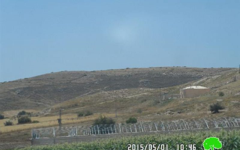 Israeli military trainings cause fire to 50 agricultural dunums of pastures in al-Himmih area