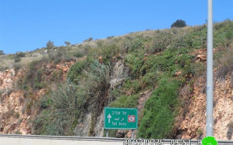 Barkan colony chemical wastes destroy the environment of the Salfit village of Bruqin