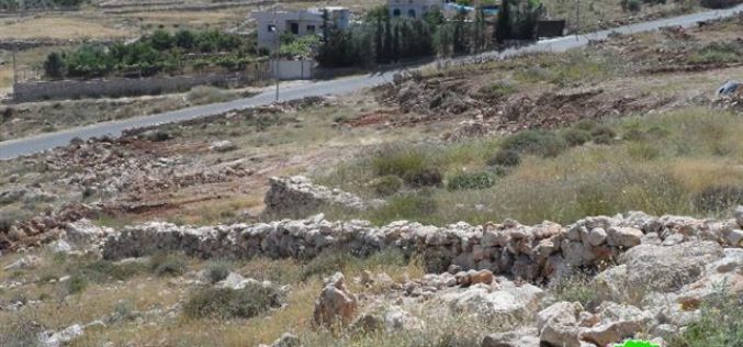 Ravaging agricultural lands and sabotaging trees in the Hebron area of Suba