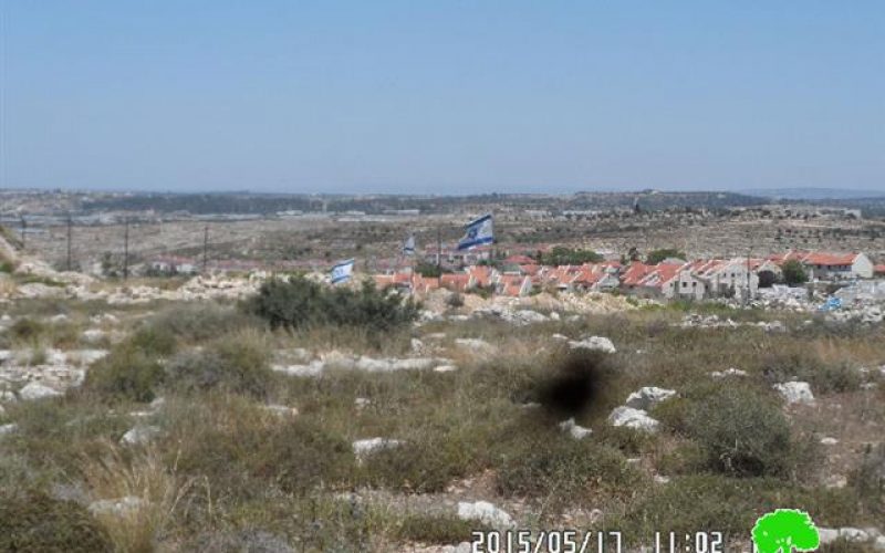 Avni Hefetz colonists take over lands from the Tulkarm village of Izbet Shofa