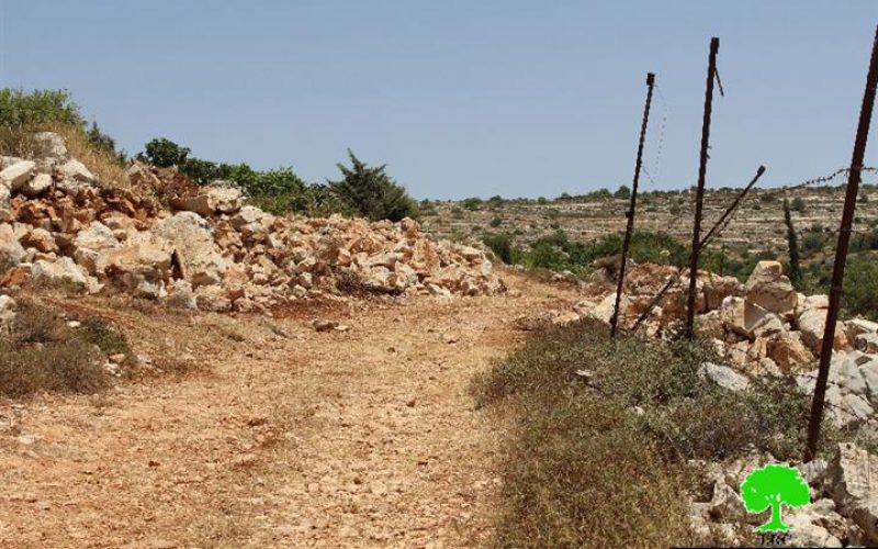 Demolishing a water cistern and ravaging a 2 dunum plot in Bethlehem