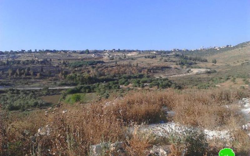 Colonists set fire to olive trees in the Tulkarm village of Kfar Sur