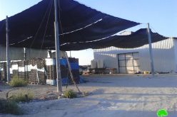 الاحتلال الاسرائيلي يخطر بهدم محطة  لتعبئة التمور في مدينة أريحا