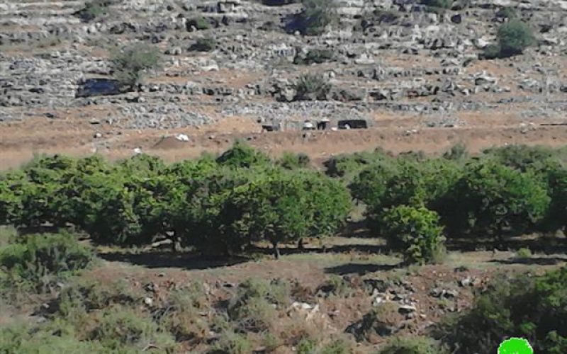 ما تسمى سلطة حماية الطبيعة الإسرائيلية تلزم مزارع في منطقة واد قانا بالإخلاء الفوري