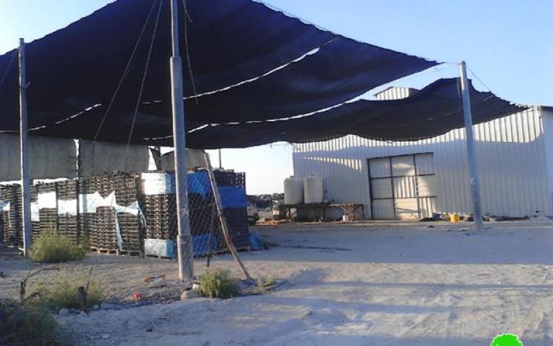 The Israeli occupation notifies a Dates Factory of demolition