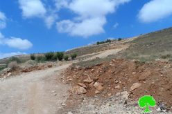 Stop-work and demolition orders on agricultural roads in the Hebron town of Halhul