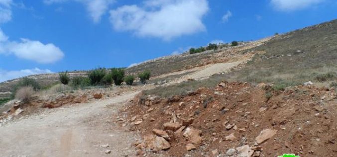 Stop-work and demolition orders on agricultural roads in the Hebron town of Halhul