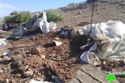 The Israeli occupation demolishes structures in Tubas governorate