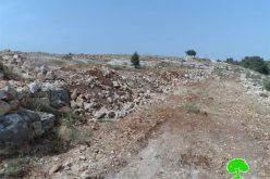 Demolishing cistern, ravaging lands and uprooting trees in the Hebron village of Surif