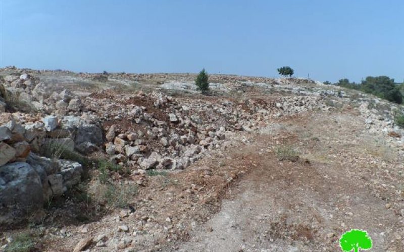 Demolishing cistern, ravaging lands and uprooting trees in the Hebron village of Surif