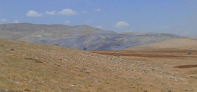 Torching 2000 dunums of pastoral lands in Al-Tawil hamlet due to military training