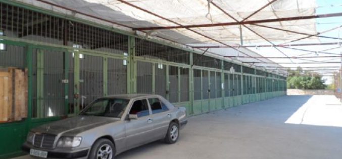The Israeli occupation hinders the opening of Beit Ummar municipal market
