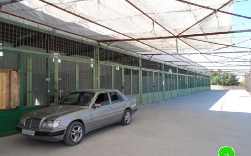 The Israeli occupation hinders the opening of Beit Ummar municipal market