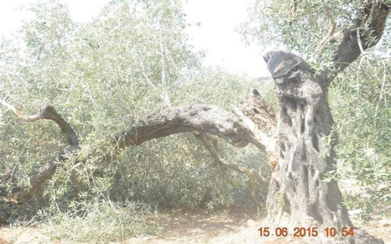 Demolition of agricultural room in the Salfit area of Dhaher Soboh